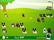 Köpeğini Bul
